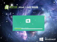 大白菜v2023.06最新win8.1 64位最新安全版